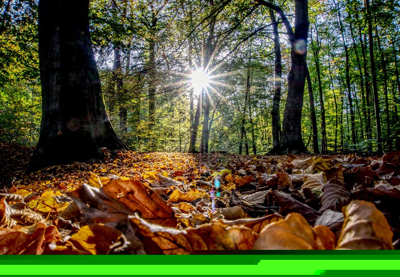 保定蘇堤與杭城新脈動(dòng),最新動(dòng)態(tài)探析