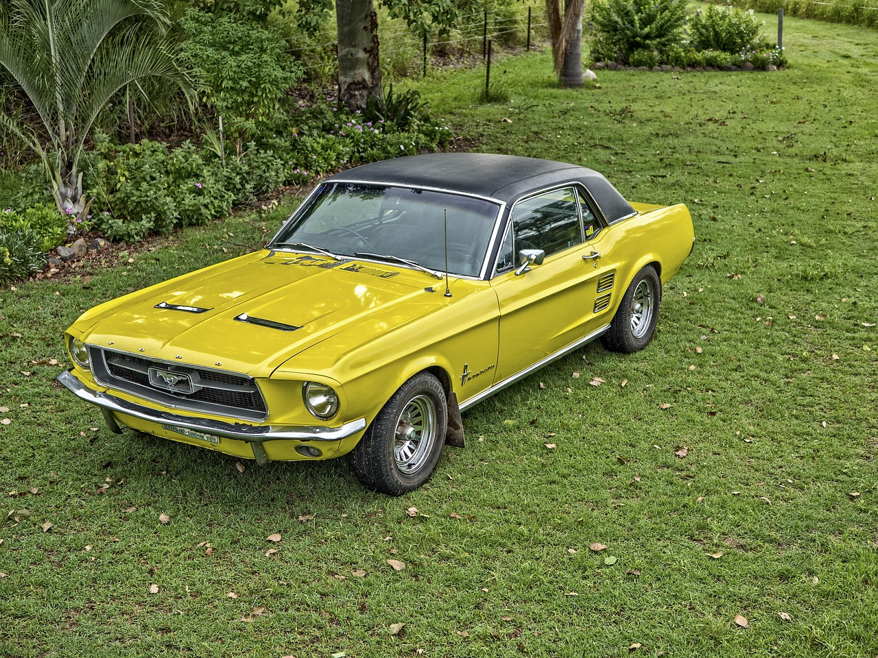 瑞步新款電動三輪車，未來時尚出行的引領者，實拍圖片欣賞