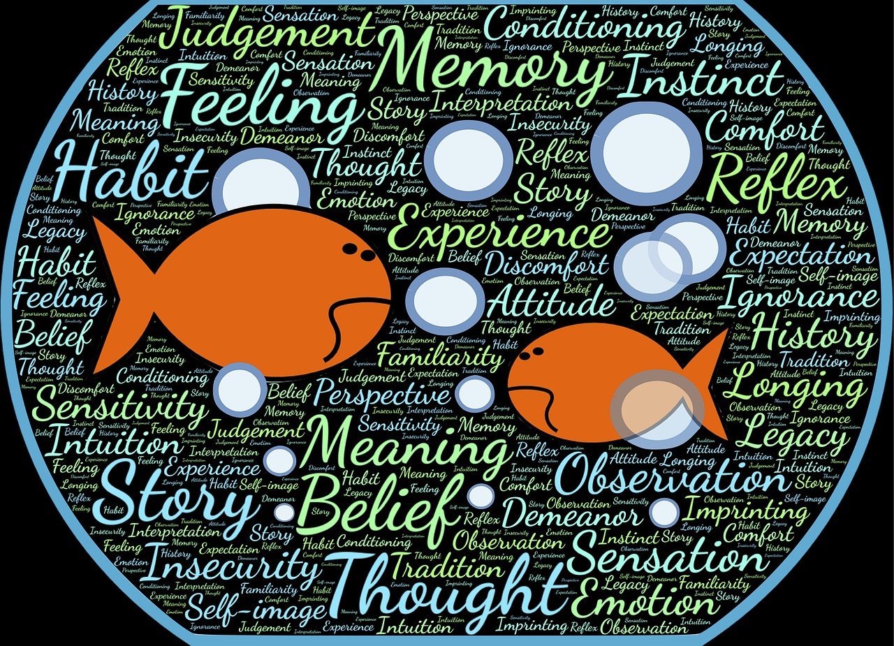 中國(guó)票房第一的電影背后的故事與啟示,啟示錄與成功之道