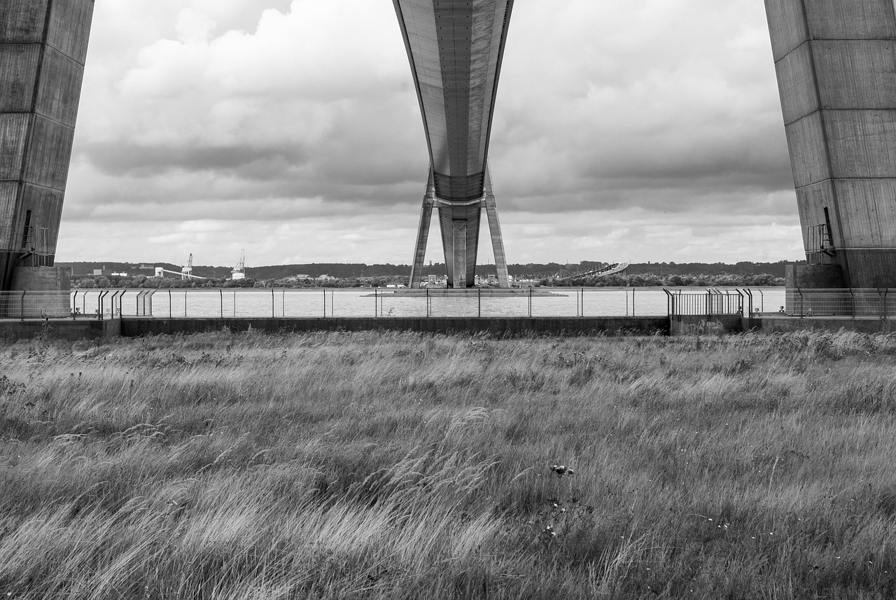 鴿子血?jiǎng)勇摂M世界與現(xiàn)實(shí)情感的橋梁