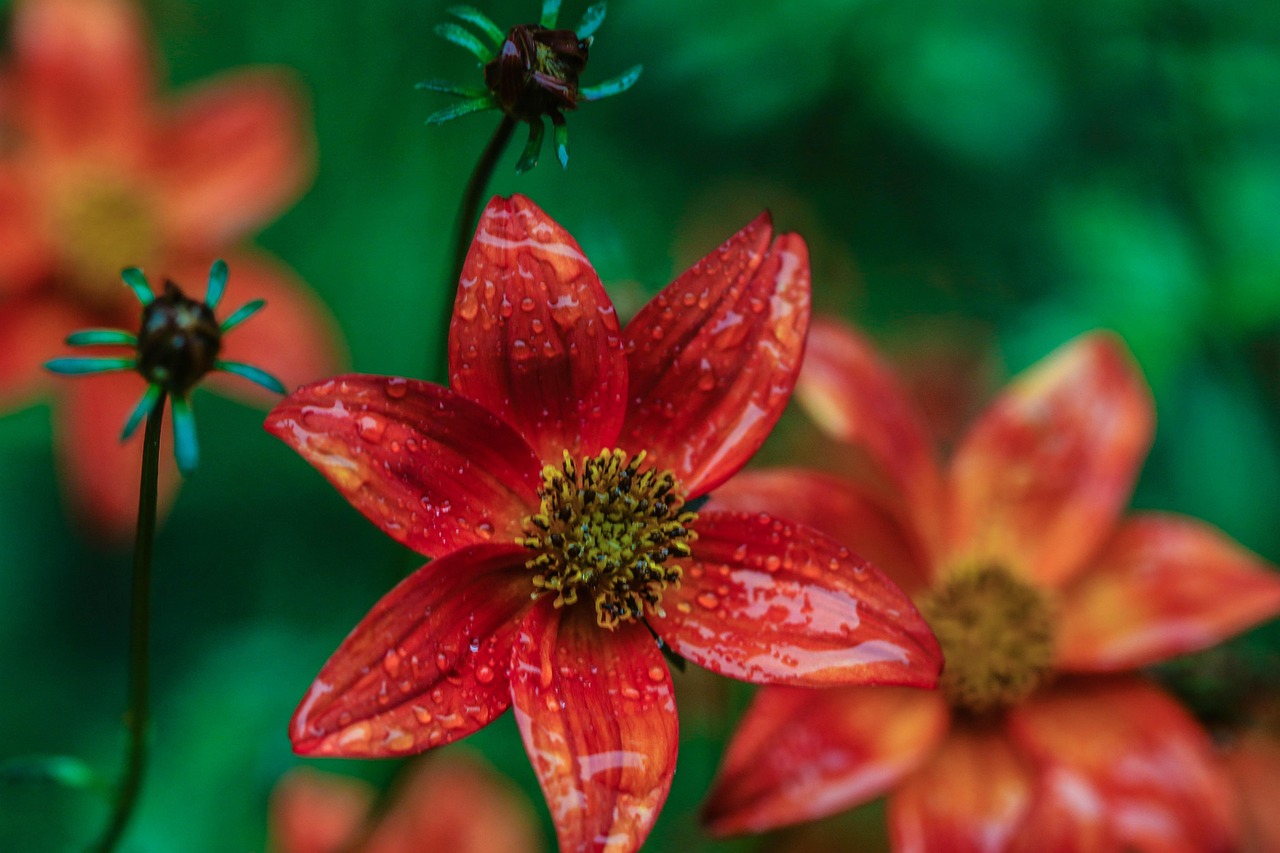 泰勒·斯威夫特最新動(dòng)態(tài)揭秘，音樂事業(yè)與生活的新篇章