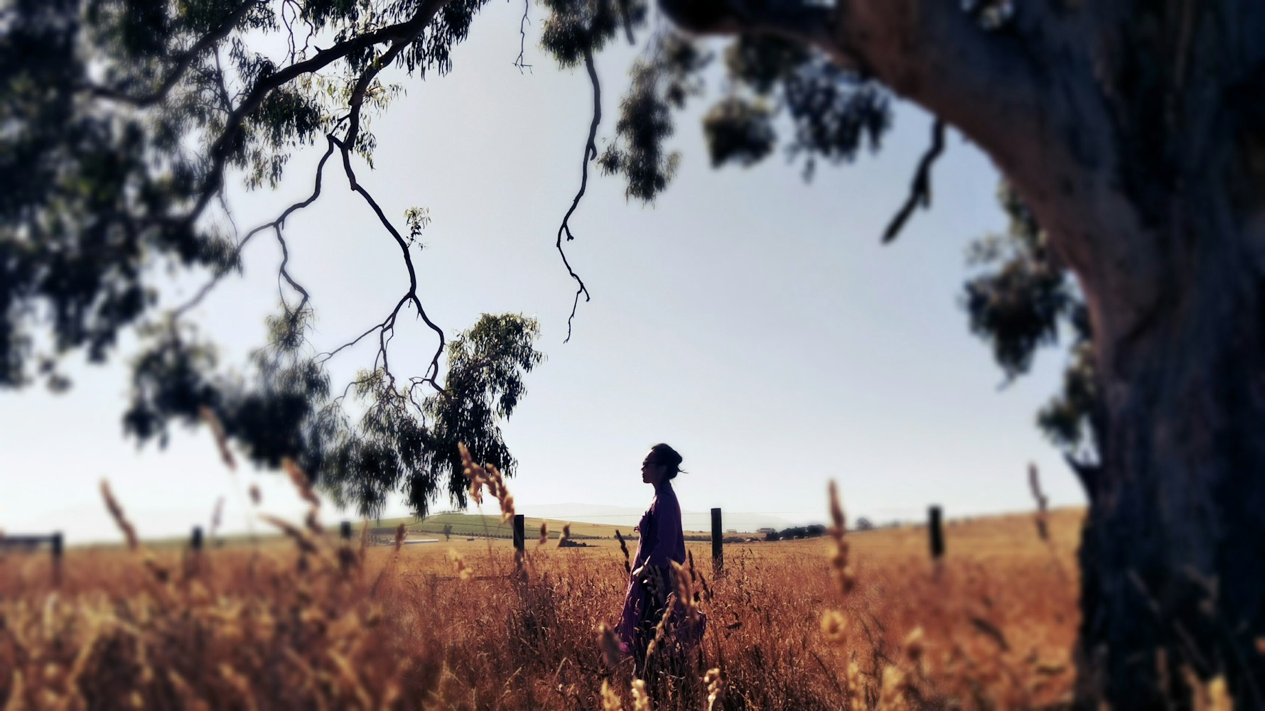 原來你還在這里,情感交織的電影佳作