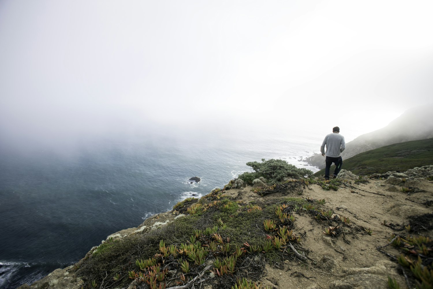 太平洋股票行情分析與展望,最新動(dòng)態(tài)及趨勢(shì)預(yù)測(cè)
