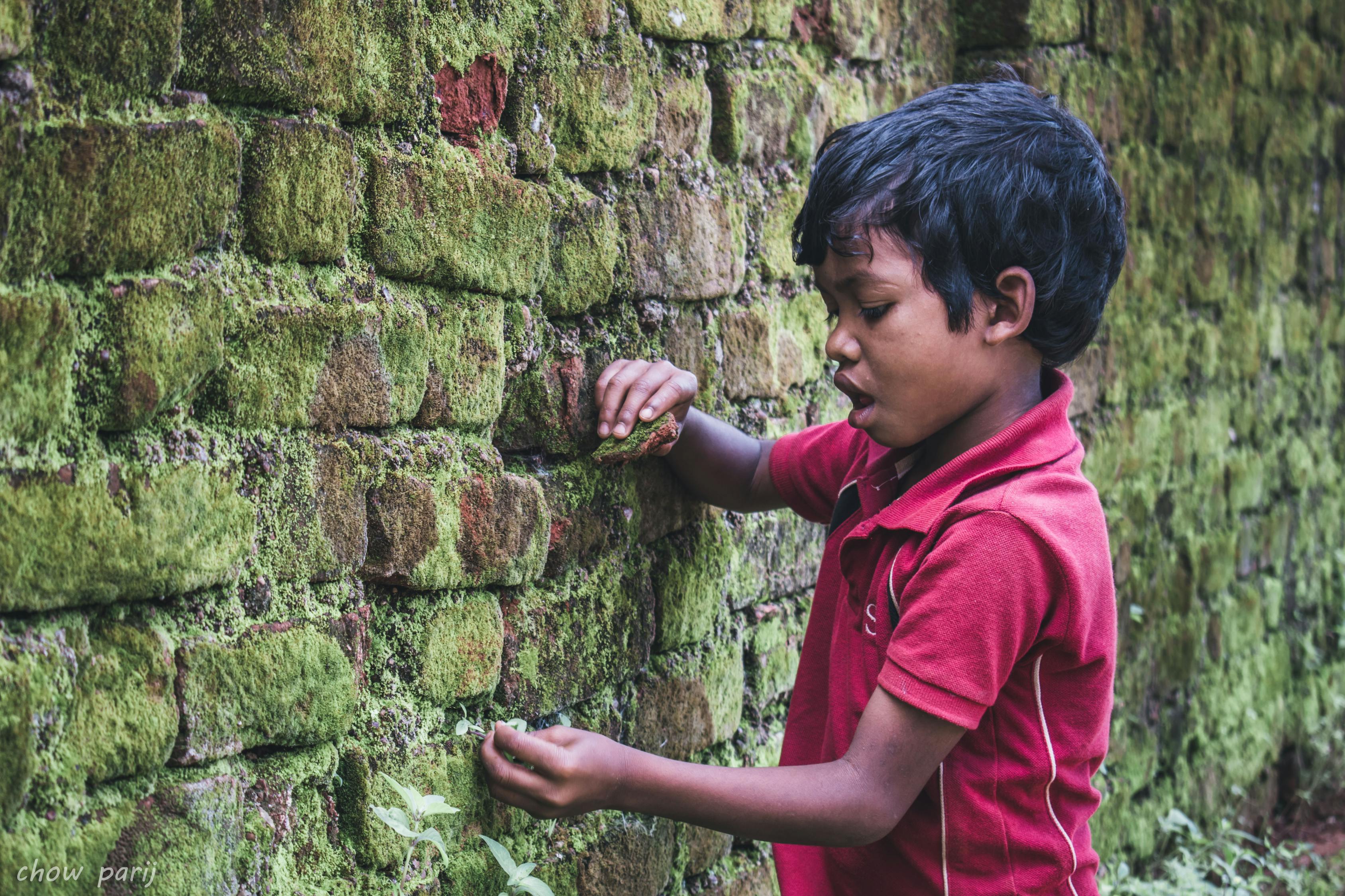 曾少年之小時(shí)候,青春回憶的電視劇免費(fèi)觀看