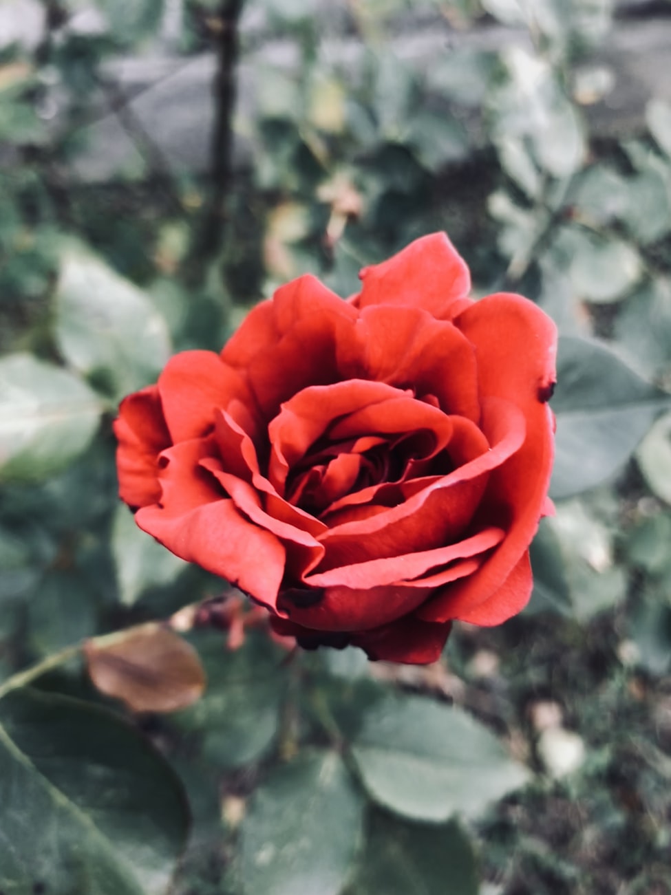 中印邊界沖突最新動態(tài)，復(fù)雜局勢下的挑戰(zhàn)與應(yīng)對策略