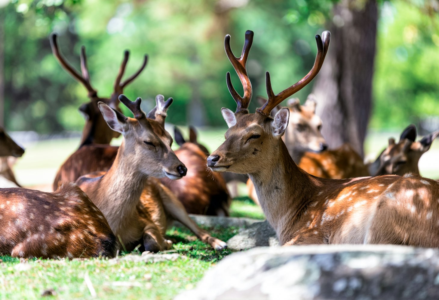 旅鴿新版本軟件，開(kāi)啟未來(lái)旅行的全新探索之旅