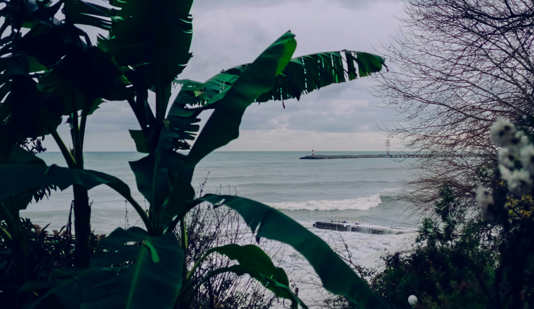 免費(fèi)動(dòng)漫應(yīng)用,探索與體驗(yàn)之旅