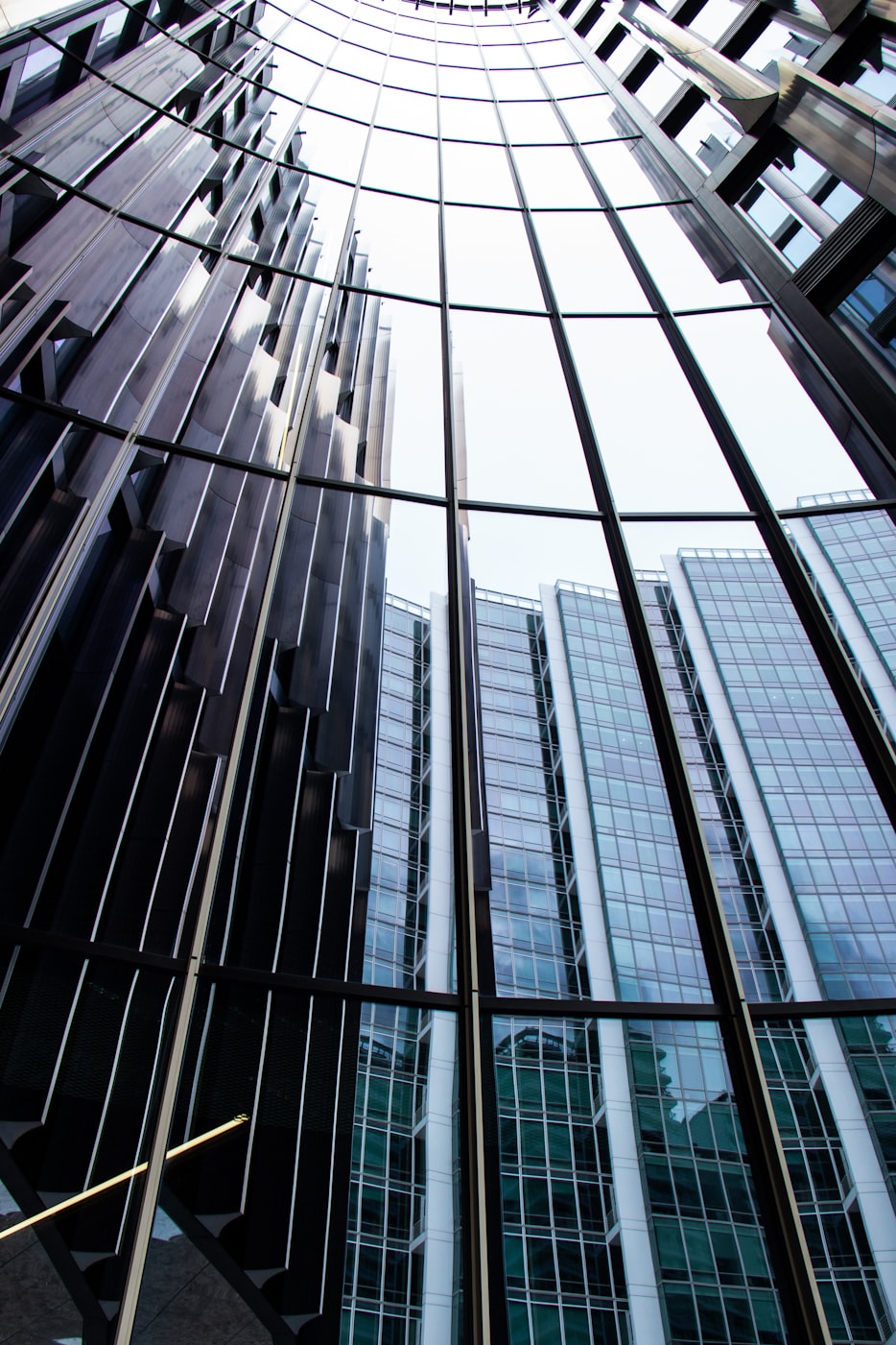 大湖股份股票深度探究與未來展望