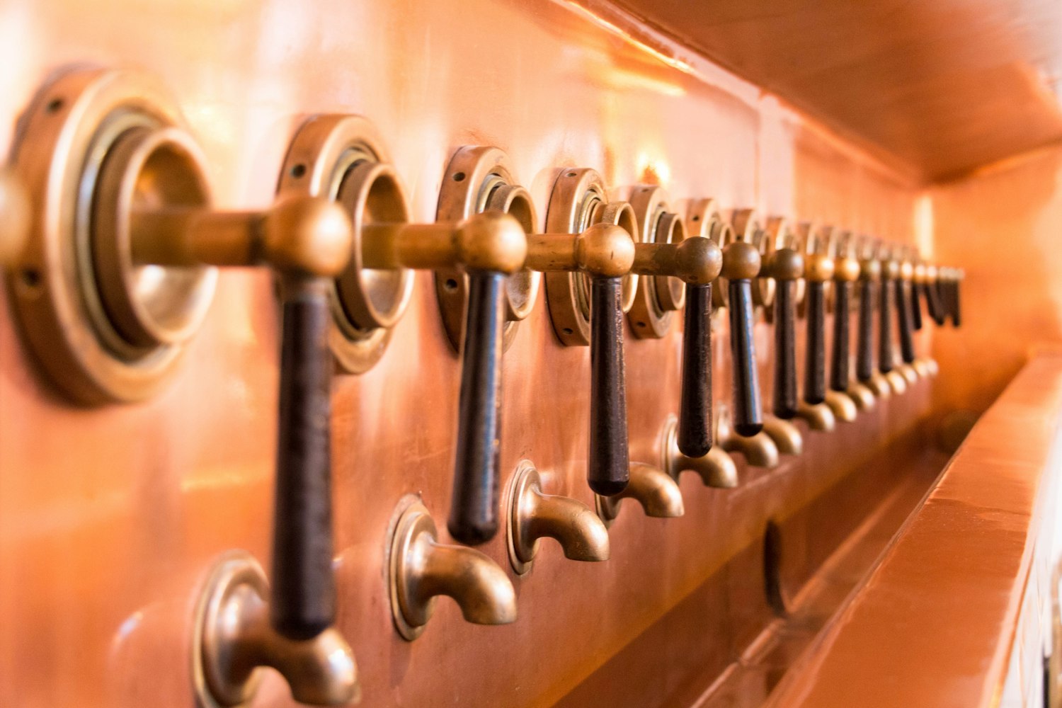 屁屁電影院，現(xiàn)代觀影新體驗探索