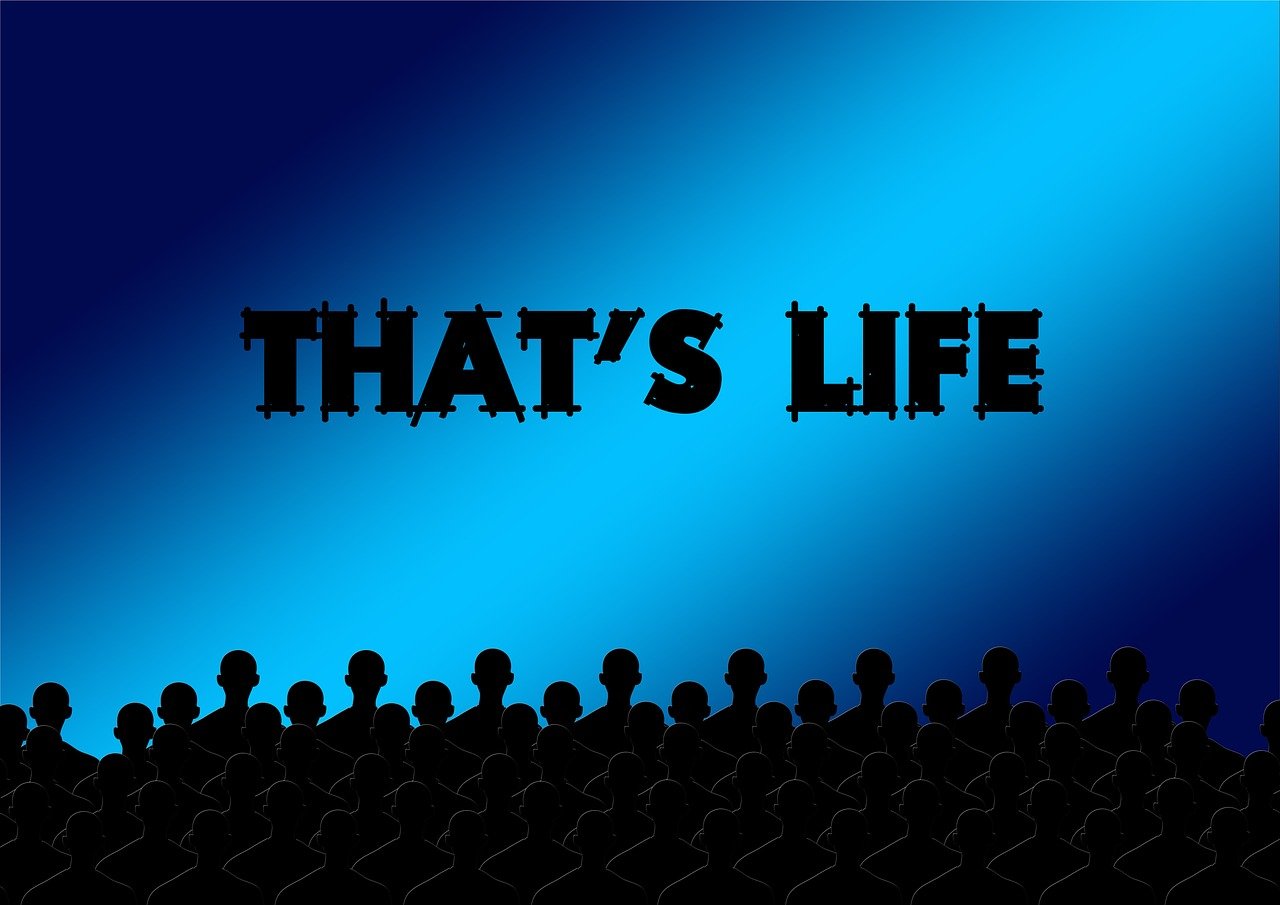 電視電影，連接心靈的藝術(shù)之窗