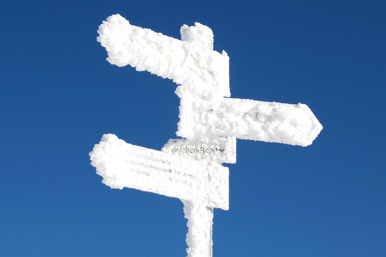 廢舊塑料行情深度解析，市場(chǎng)趨勢(shì)與前景展望