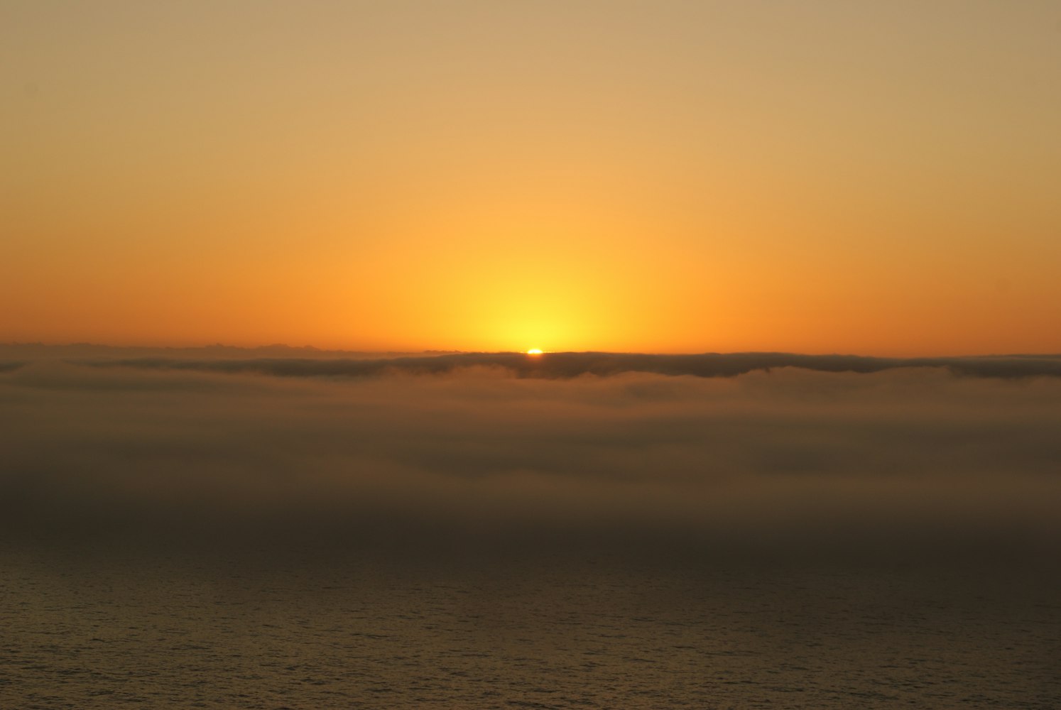 沈陽機床股價最新動態(tài)及分析摘要