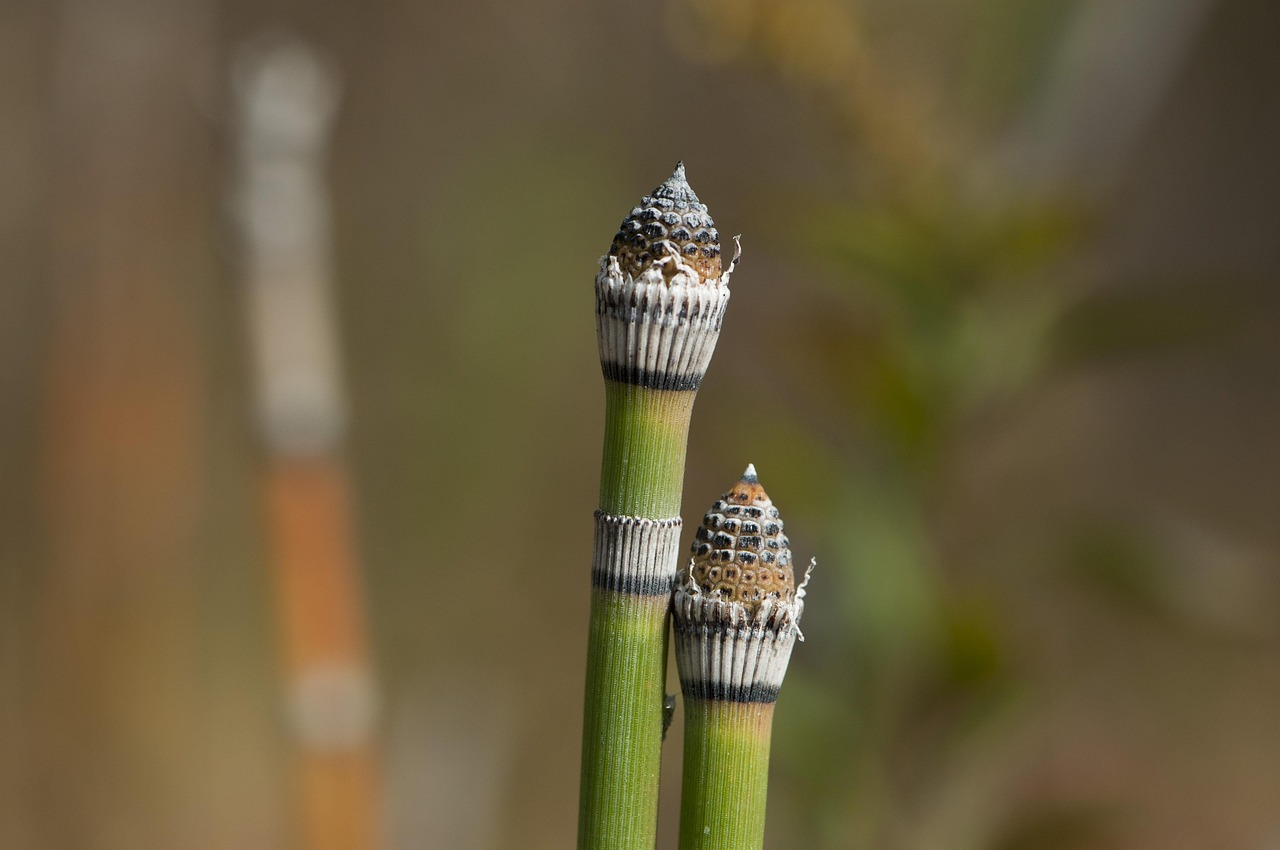 新集水電站最新動態(tài),邁向綠色能源的嶄新里程碑