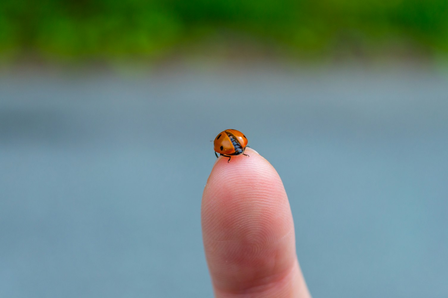 唐山最新交通管制信息詳解及更新動(dòng)態(tài)分析