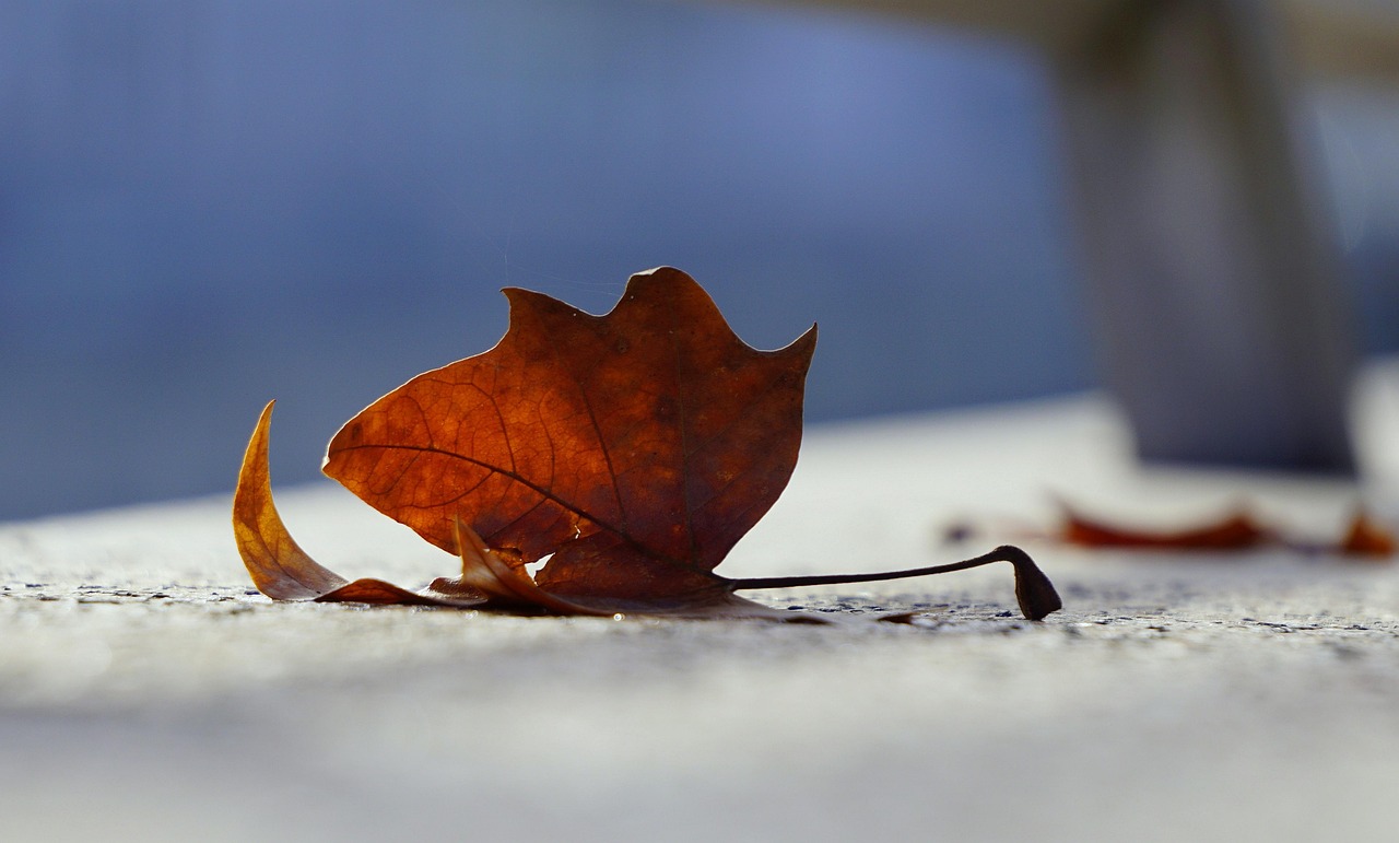 方盛制藥股票動態(tài)，市場走勢分析與前景展望揭秘