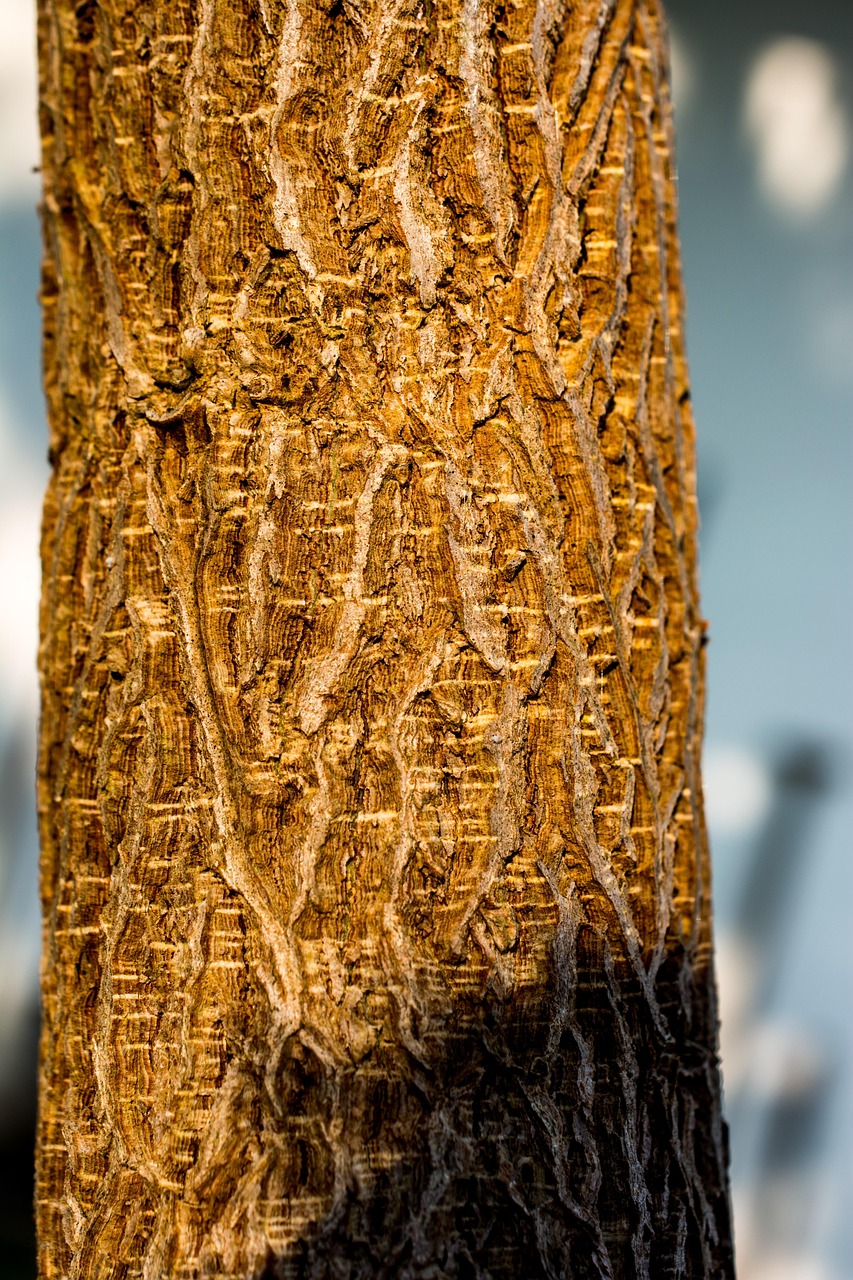 京沈高鐵最新進(jìn)展、影響與展望，全線動(dòng)態(tài)速遞