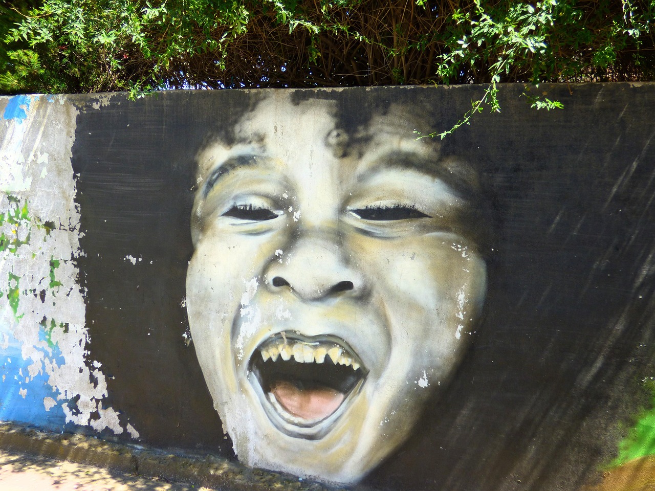 廣東省英德市最新資訊概覽，市內(nèi)外動態(tài)一網(wǎng)打盡