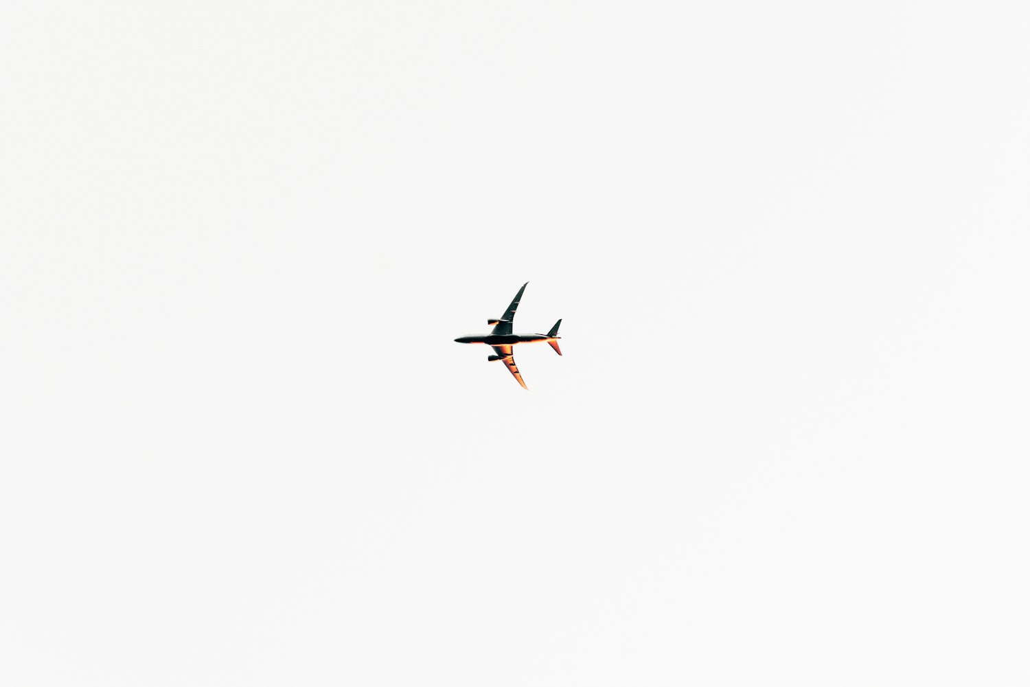 贛州最新疫情動(dòng)態(tài)更新，疫情動(dòng)態(tài)概述