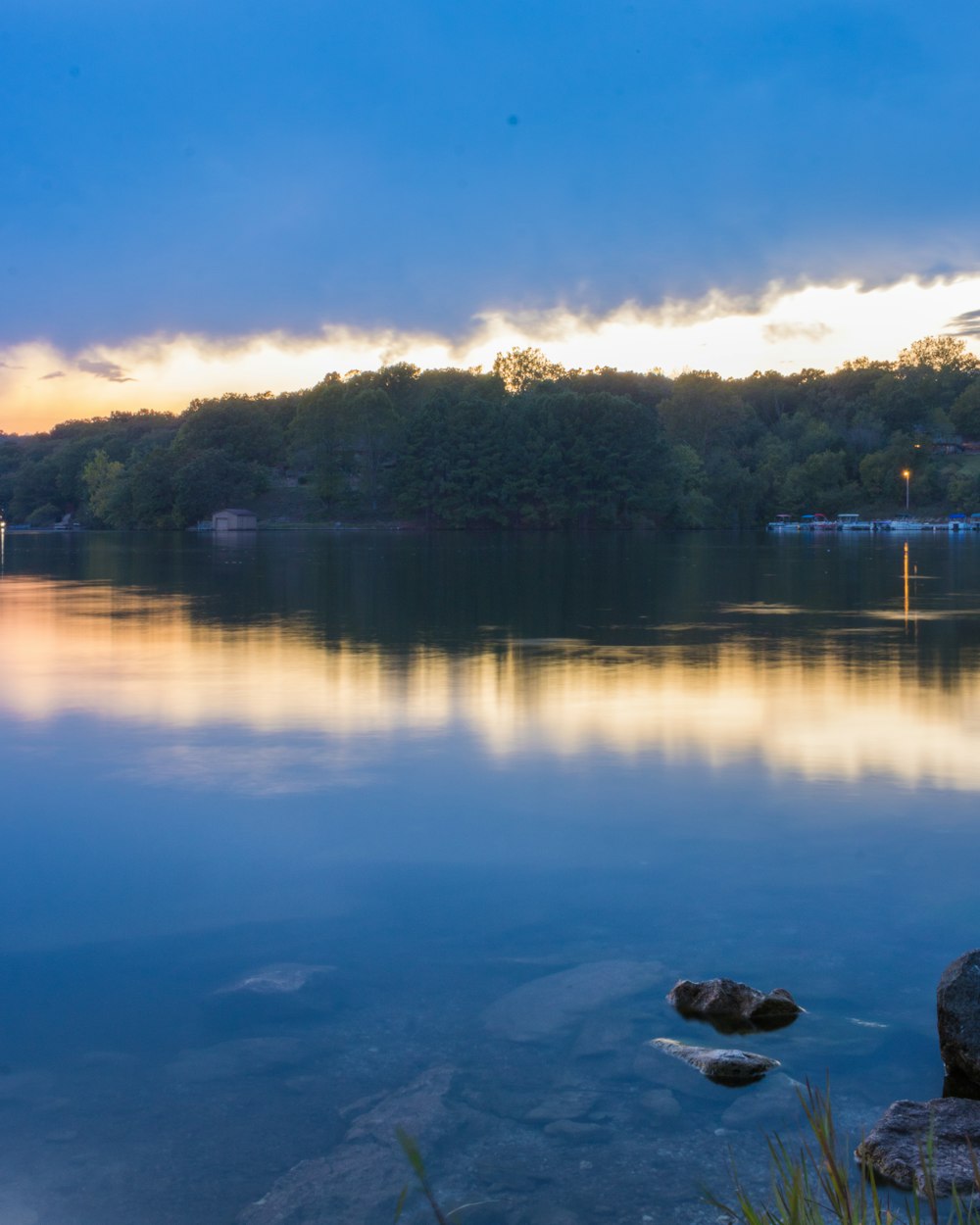 龍舟比賽圖片，展現(xiàn)團結(jié)與活力的壯麗畫卷
