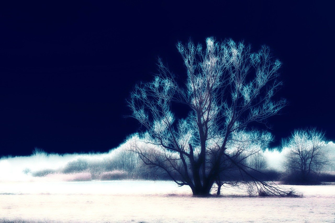 慶陽甜羅高速最新進展,建設動態(tài)、影響及未來展望(2017年)