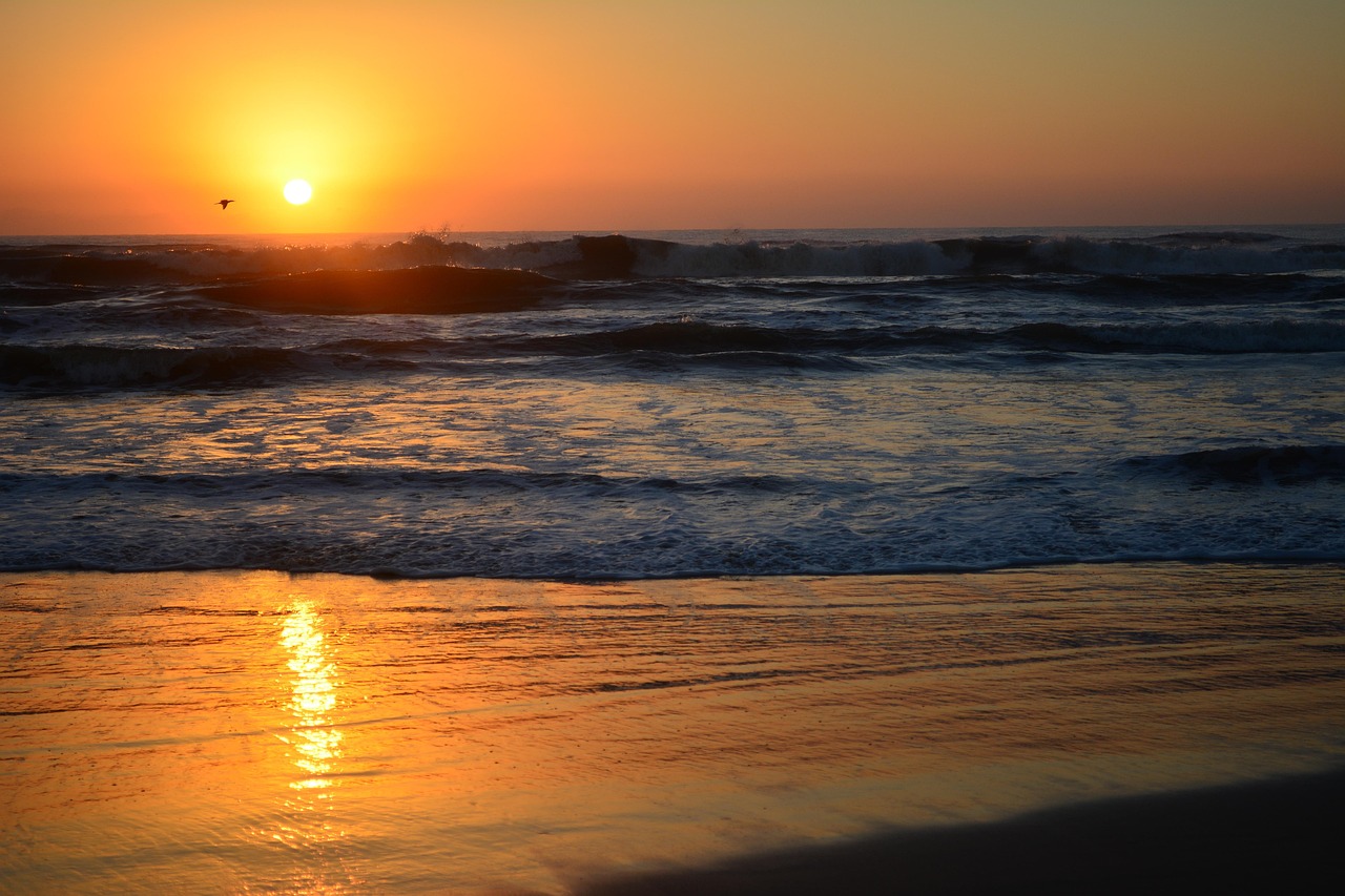 探索仙游皇庭美域的自然與人文和諧共生動(dòng)態(tài)資訊