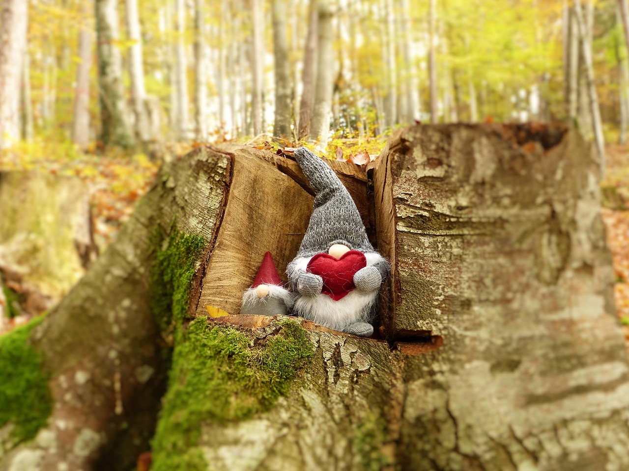 電影我的母親，背后的故事與情感深度探索