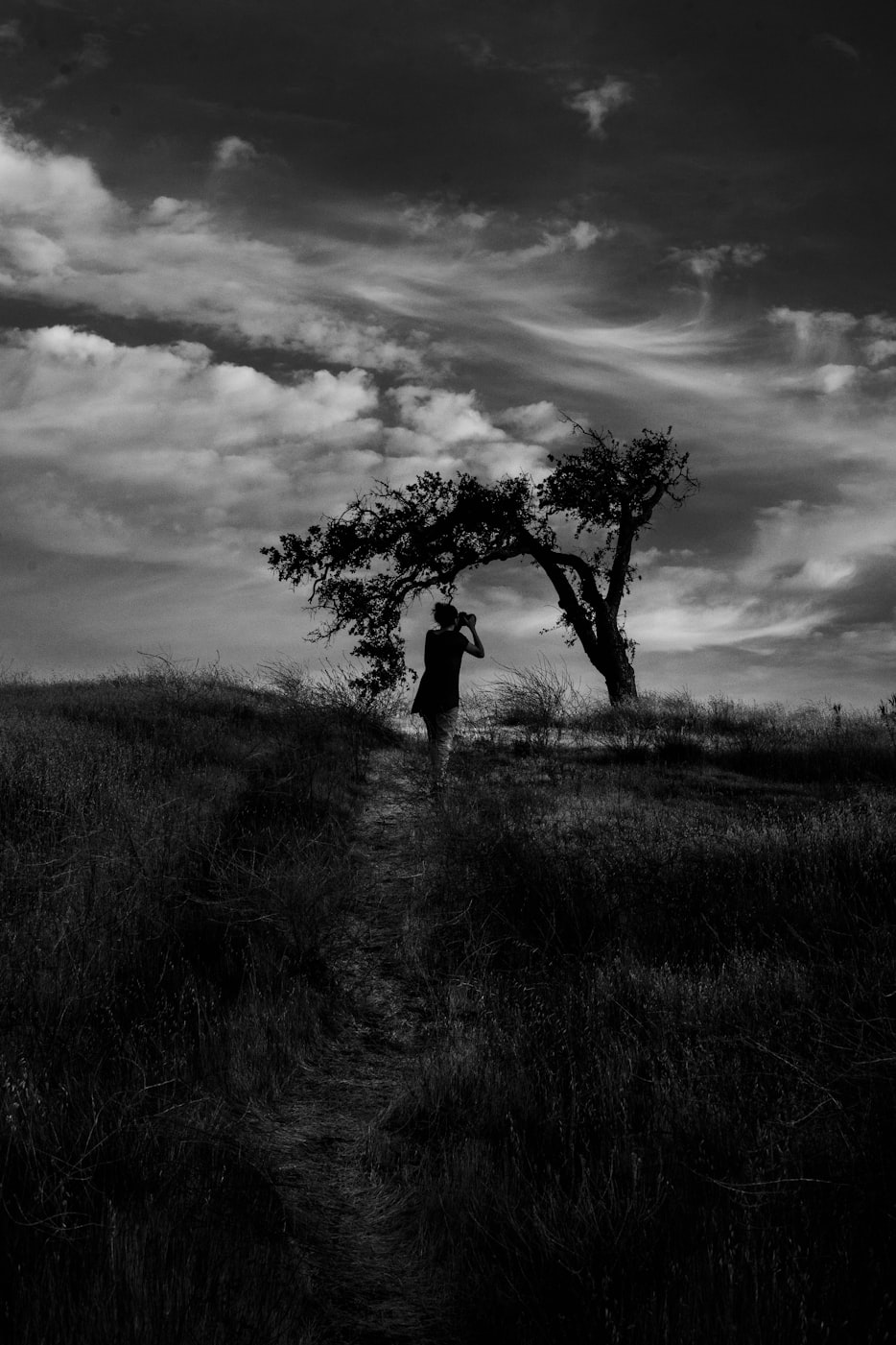 藍(lán)電影,影視界的新藍(lán)海探索