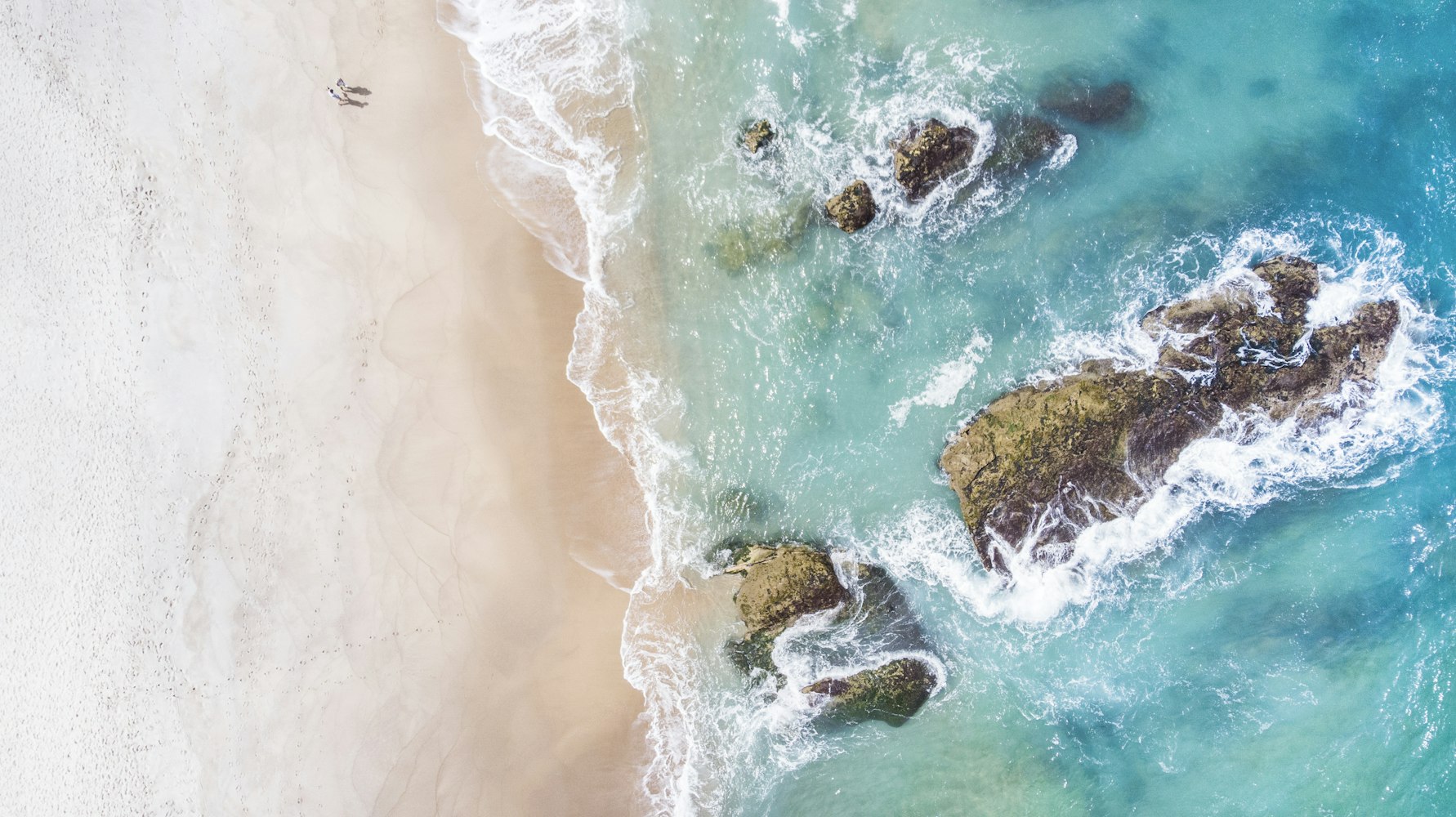 魚獲最新版本，探索海洋新時(shí)代的利器