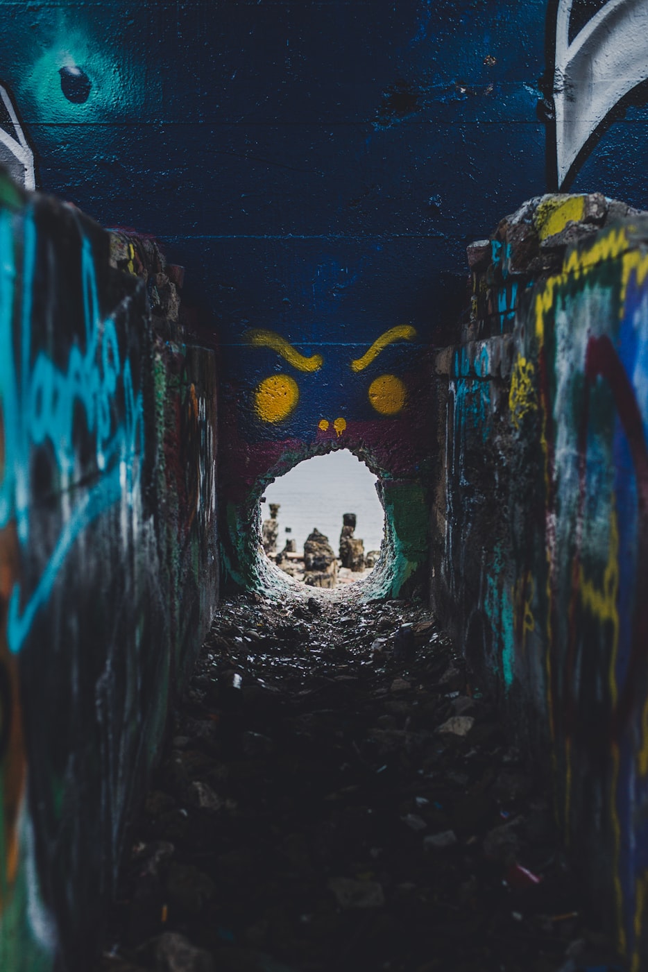 探尋未知領(lǐng)域,最新章節(jié)啟示錄