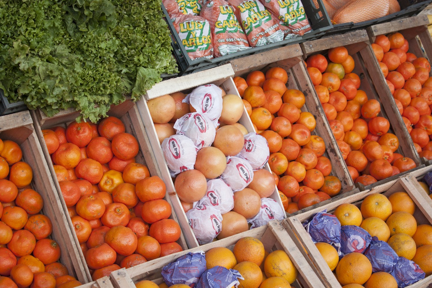 最新鮮臍橙，美味與健康的不渝之約