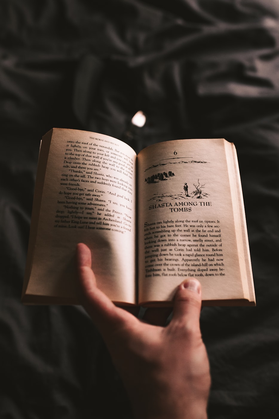 最新長篇小說合集,深度探索人性,廣度洞察世界