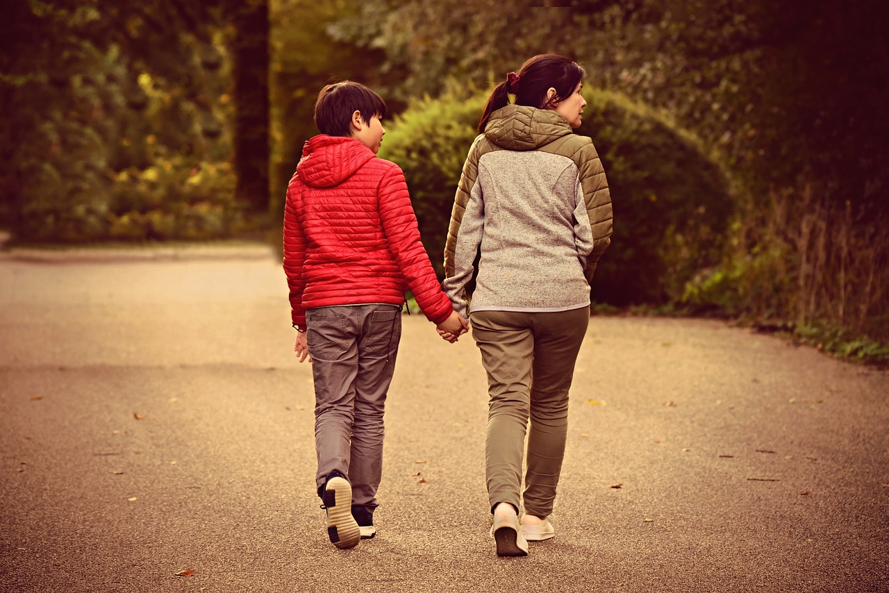 傲明星,光芒四射的閃耀之路