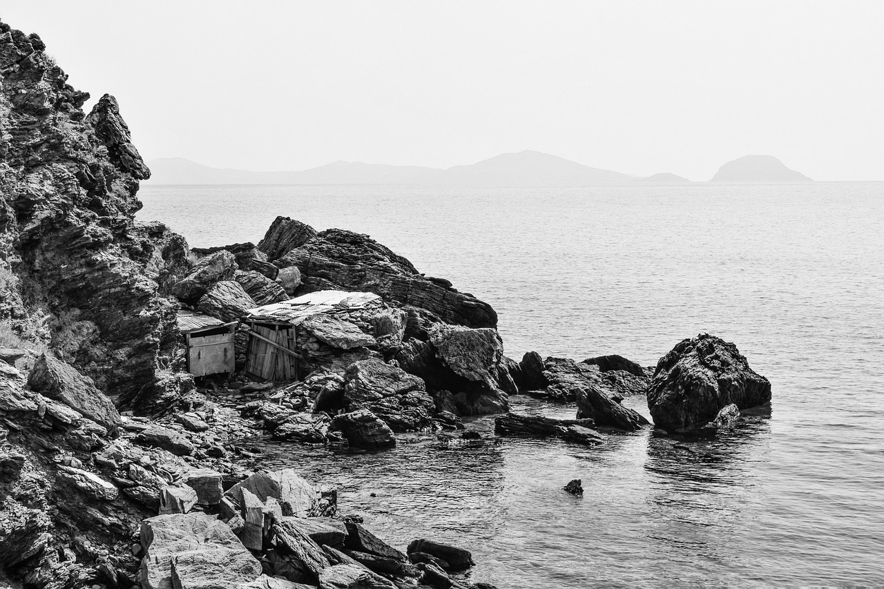 最新打野凱，強勢崛起與戰(zhàn)術(shù)深度解析