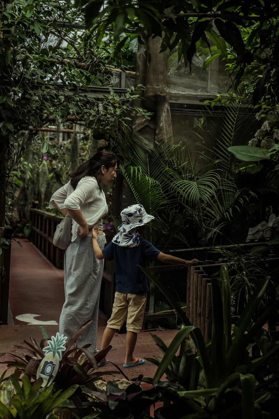 日本電影妻子的秘密深度探索,揭開秘密背后的故事